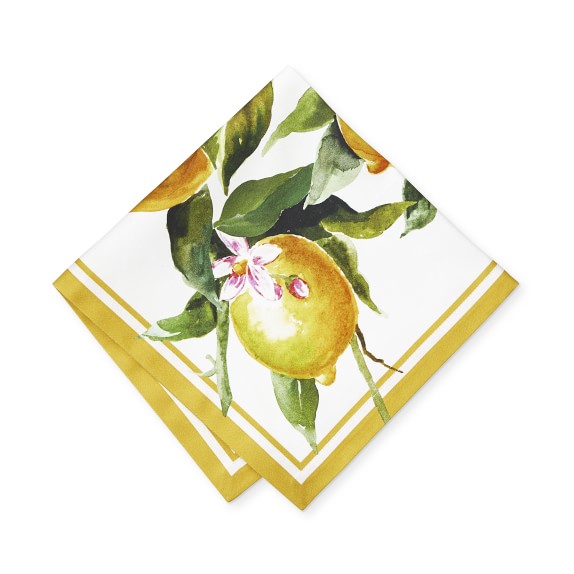 Painterly Citrus Napkins, Each
