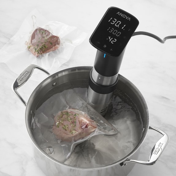 Anova Precision Pro Sous Vide Cooker Williams Sonoma