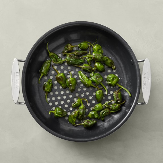 All-Clad Outdoor Nonstick Fry Pan