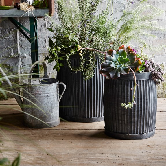 Vence Planter Williams Sonoma