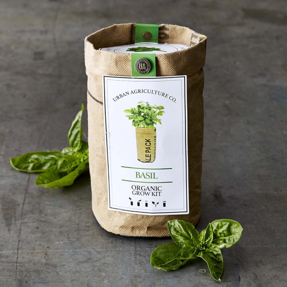 Basil Grow Kit