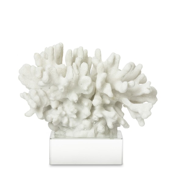 White Coral On Glass Stand, Branch