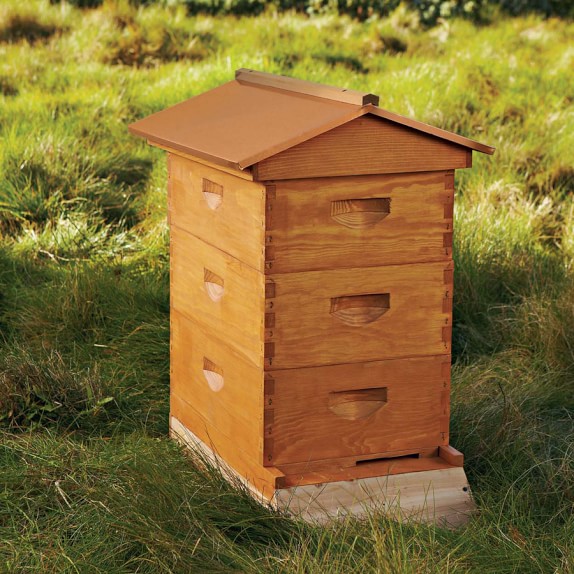 Backyard Beehive Williams Sonoma