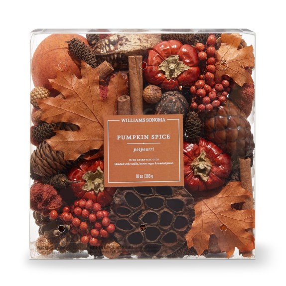 Williams Sonoma Potpourri Pumpkin Spice
