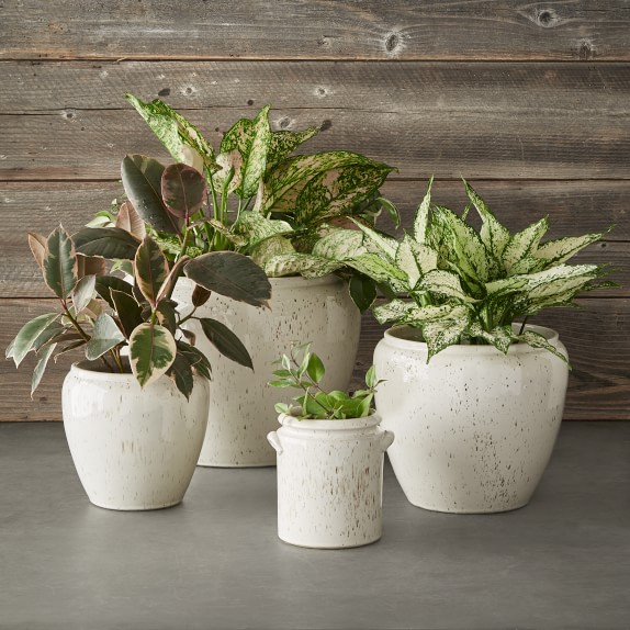 Speckled Ivory Earthenware Planter, Small