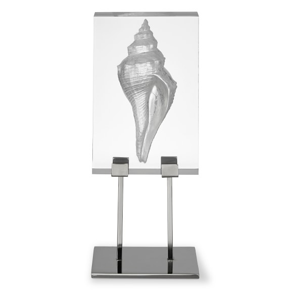 Coastal Relief Shell Sculptures On Stand, Conch Shell