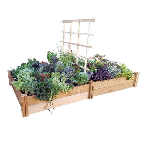 Gronomics Double Raised Garden Bed With Trellis Williams Sonoma